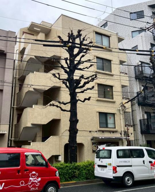 野方駅徒歩5分 RC造 中野区丸山2丁目のマンション 外観